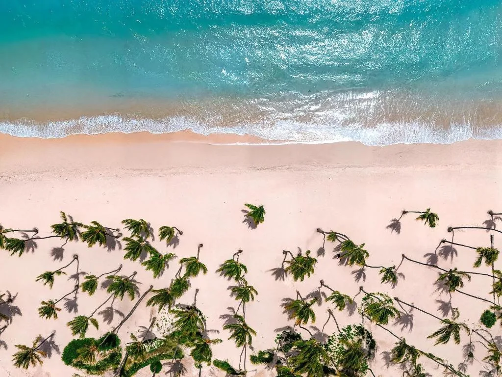 Hyatt Vivid Punta Cana: another view