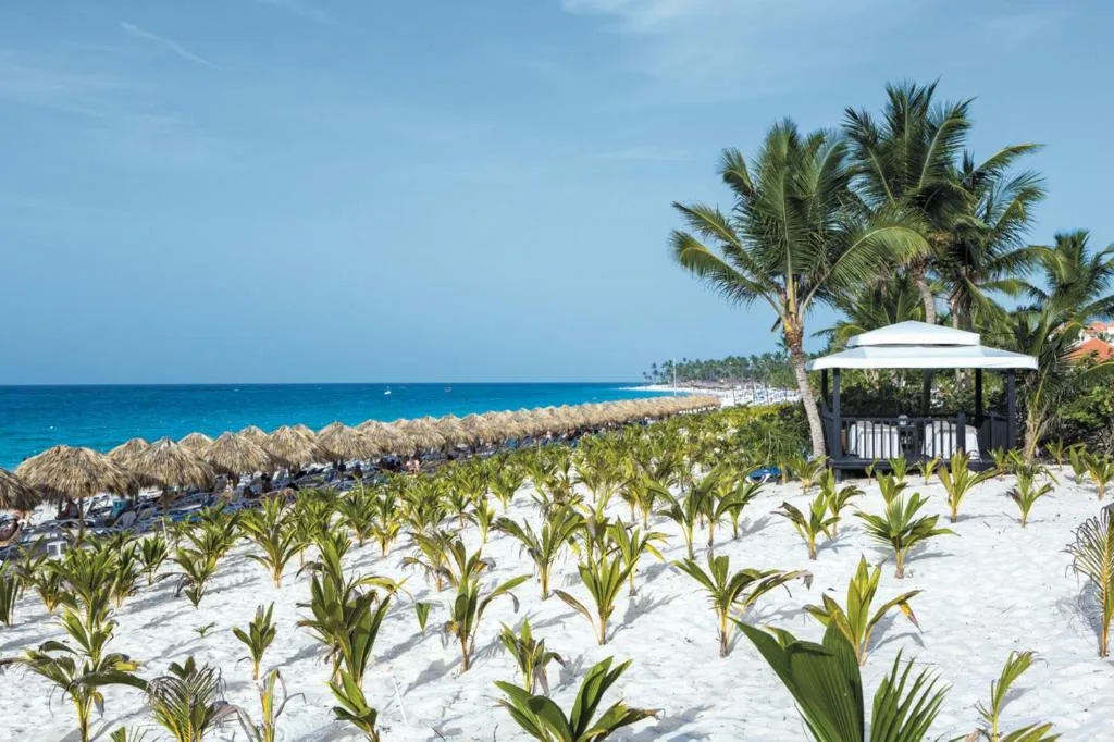 Riu Republica: another view